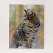 Gray Tabby Jigzaag Puzzle Legpuzzel (Verticaal)