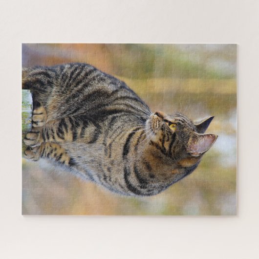 Gray Tabby Jigzaag Puzzle Legpuzzel (Horizontaal)