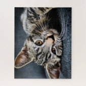 Gray Tabby Kitten Jigzaag Puzzle Legpuzzel (Verticaal)