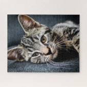Gray Tabby Kitten Jigzaag Puzzle Legpuzzel (Horizontaal)