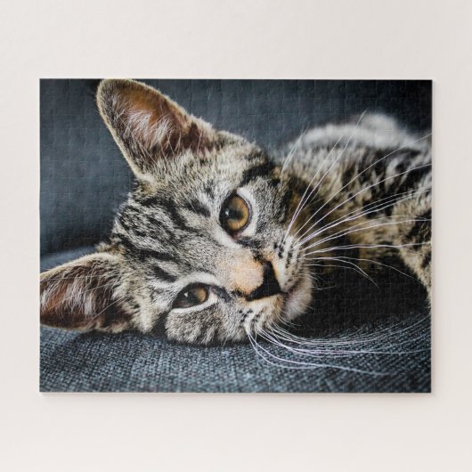 Gray Tabby Kitten Jigzaag Puzzle Legpuzzel (Horizontaal)