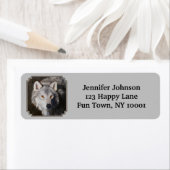 Gray Timber Wolf Face Portret Etiket (Insitu)