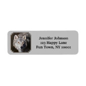 Gray Timber Wolf Face Portret Etiket (Voorkant)