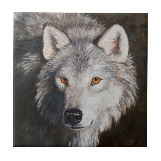 Gray Timber Wolf Face Portret Tegeltje (Voorkant)