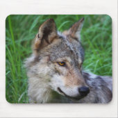 Gray Timber Wolf Muismat (Voorkant)