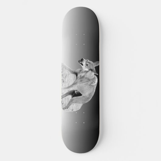 Gray Timber Wolf Snarl Skateboard (Voorkant)