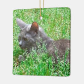 Gray Tortie Cat Keramisch Ornament (Links)