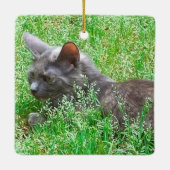 Gray Tortie Cat Keramisch Ornament (Achterkant)