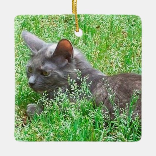 Gray Tortie Cat Keramisch Ornament (Voorkant)