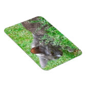 Gray Tortie Cat Magneet (Rechterzijde)