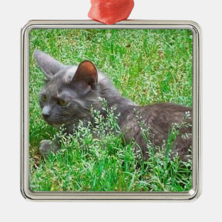 Gray Tortie Cat Metalen Ornament