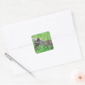Gray Tortie Cat Vierkante Sticker (Envelop)