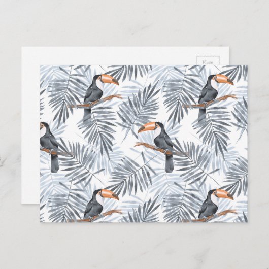 Gray Toucan Briefkaart (Voorkant / Achterkant)
