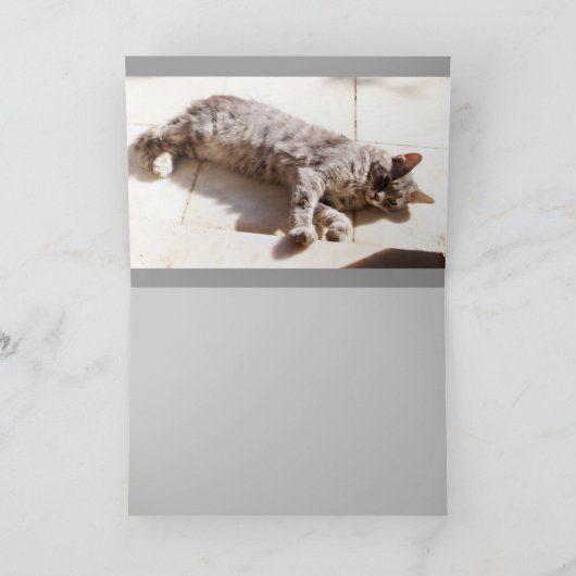 GRAY TURKISH CAT KAART (Binnen)