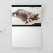 GRAY TURKISH CAT KAART (Binnen)