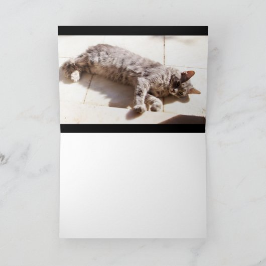 GRAY TURKISH CAT KAART (Binnen)