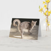 GRAY TURKISH CAT KAART (Gele Bloem)