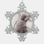 Gray Tuxedo Cat in sneeuwvlokvormig pinda Tin Sneeuwvlok Ornament (Voorkant)