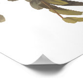 Gray Tyrant Kingbird Audubon Art Bookplaat Poster (Hoek)