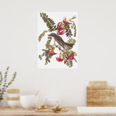 Gray Tyrant Kingbird Audubon Art Bookplaat Poster (Keuken)