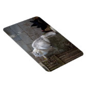 Gray-White Angora Cat Magneet (Rechterzijde)