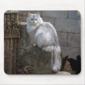 Gray-White Angora Cat Muismat (Voorkant)