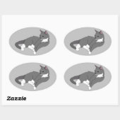 Gray & White Tuxedo Cat Ovale Sticker (Vel)
