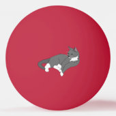 Gray & White Tuxedo Cat Pingpongbal (Voorkant)