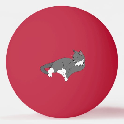 Gray & White Tuxedo Cat Pingpongbal (Voorkant)