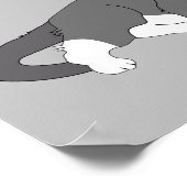 Gray & White Tuxedo Cat Poster (Hoek)