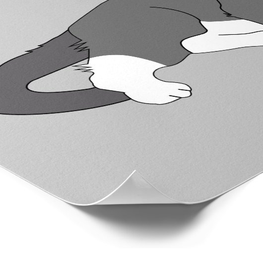 Gray & White Tuxedo Cat Poster (Hoek)