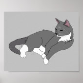 Gray & White Tuxedo Cat Poster (Voorkant)