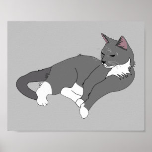 Gray & White Tuxedo Cat Poster