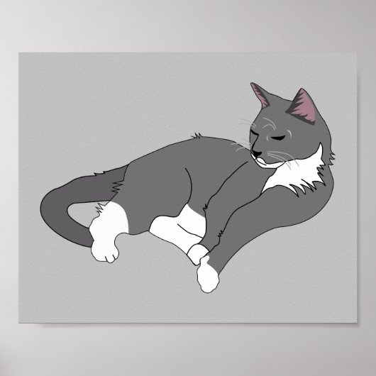 Gray & White Tuxedo Cat Poster (Voorkant)