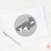 Gray & White Tuxedo Cat Ronde Sticker (Envelop)
