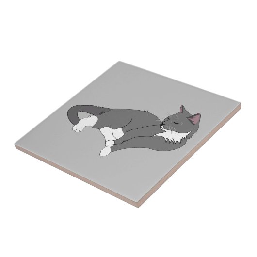Gray & White Tuxedo Cat Tegeltje (Zijkant)