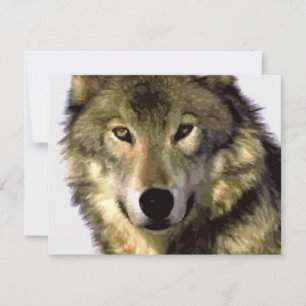 Gray Wolf