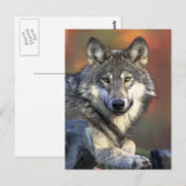 Gray Wolf Art Briefkaart (Voorkant / Achterkant)