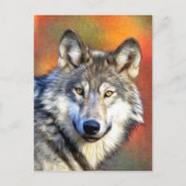 Gray Wolf Art schilderen Briefkaart (Voorkant)