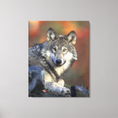 Gray Wolf Autumn Canvas Afdrukken (Voorkant)