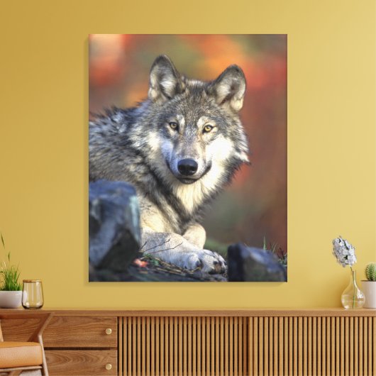 Gray Wolf Autumn Canvas Afdrukken (Insitu (Woonkamer))