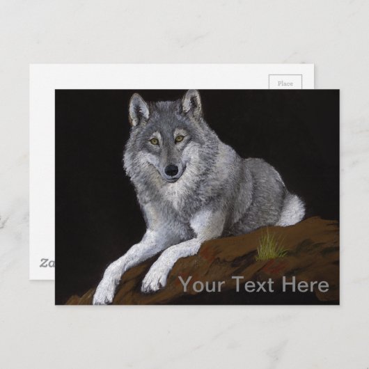 Gray Wolf Briefkaart (Voorkant / Achterkant)
