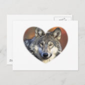 Gray Wolf Briefkaart (Voorkant / Achterkant)