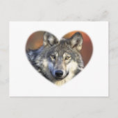 Gray Wolf Briefkaart (Voorkant)