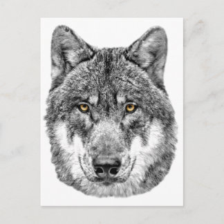 Gray Wolf Briefkaart