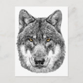 Gray Wolf Briefkaart (Voorkant)