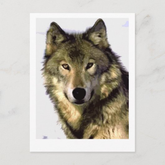 Gray Wolf Briefkaart (Voorkant)