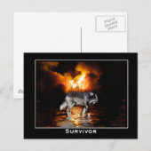 Gray Wolf Briefkaart (Voorkant / Achterkant)