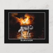 Gray Wolf Briefkaart (Voorkant)