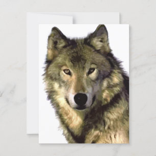 Gray Wolf Briefkaart